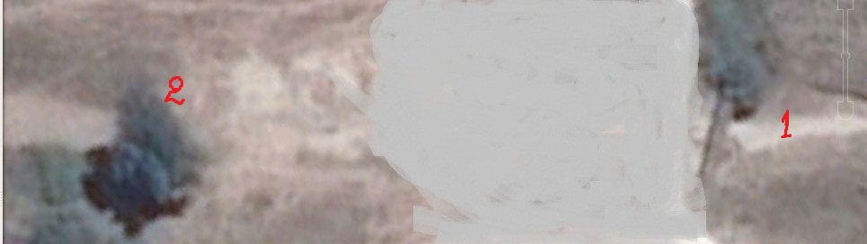 0_1523380448357_g.JPG