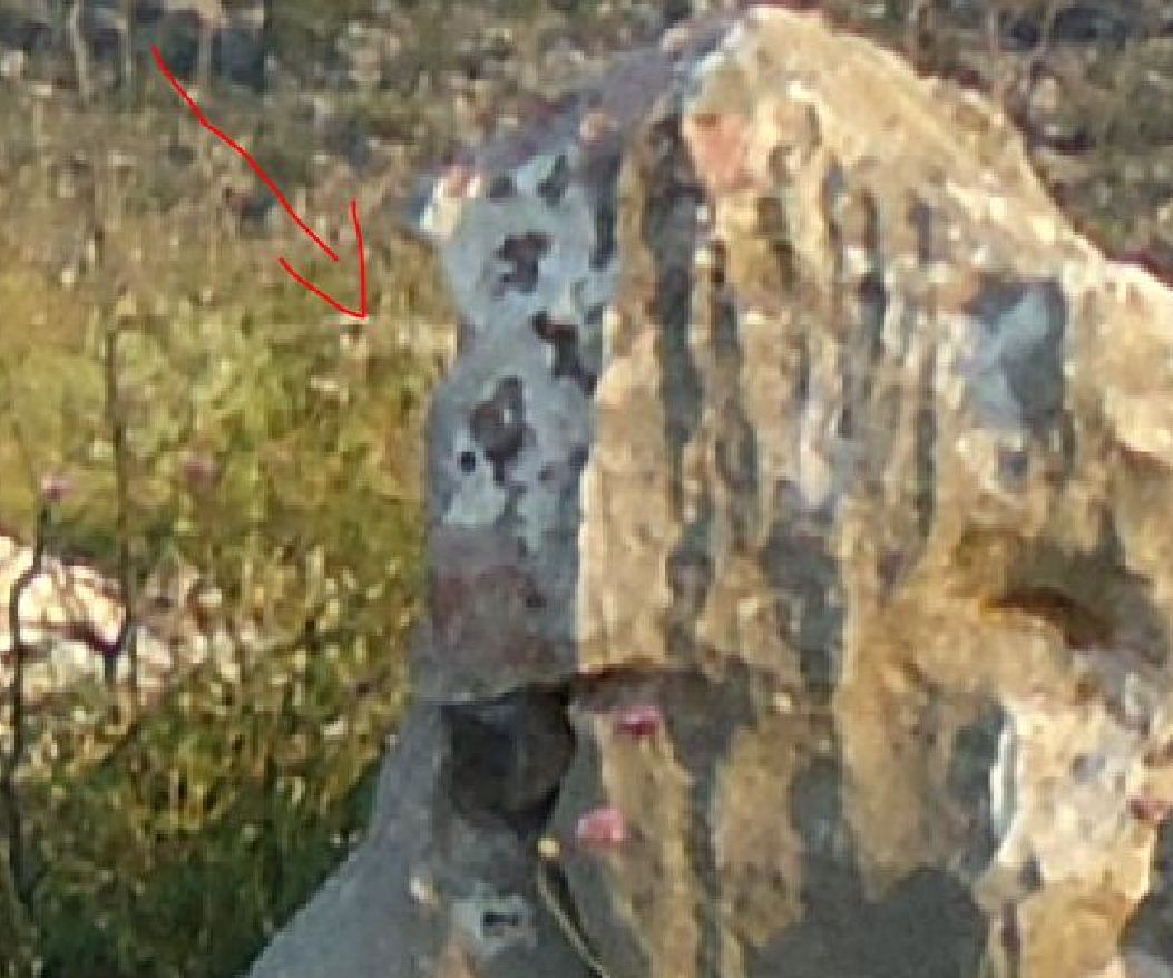 0_1529861655166_oxto.JPG