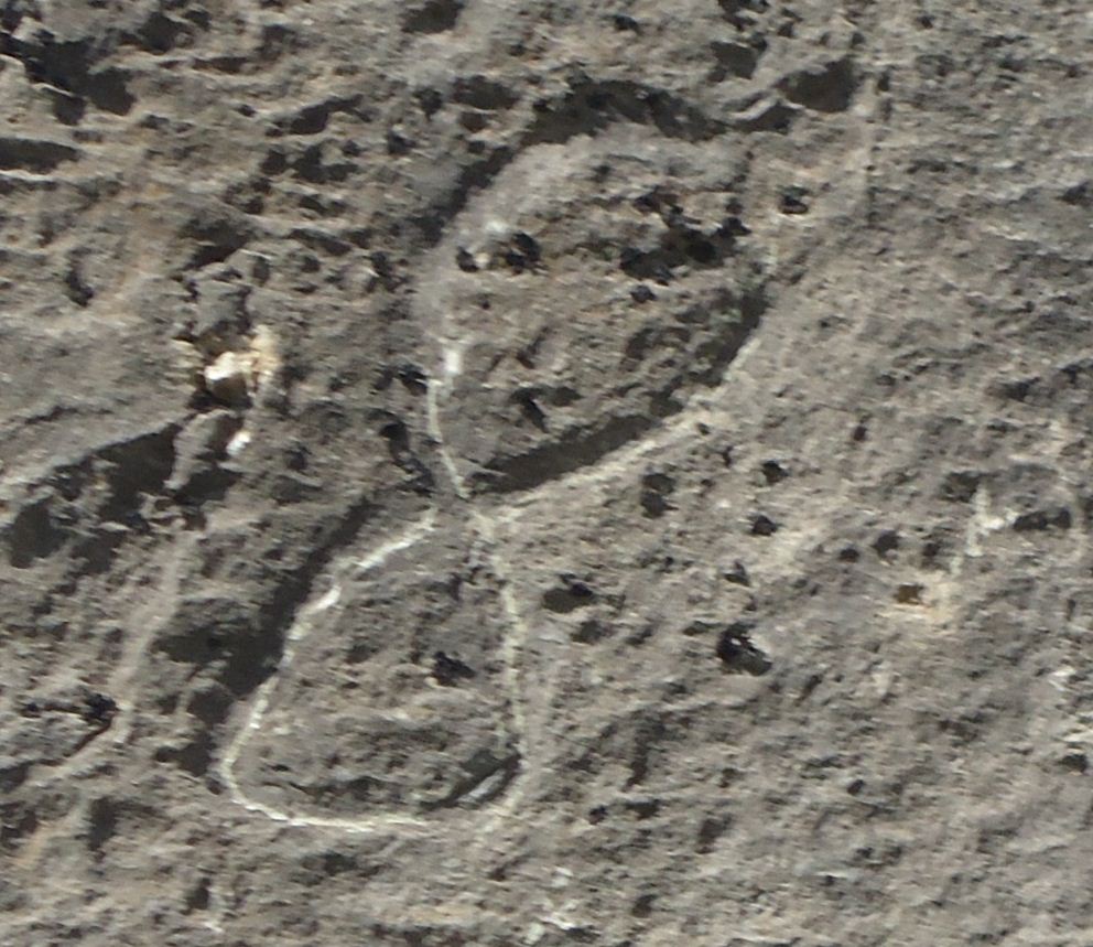 0_1529949525276_8s.JPG