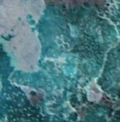 0_1529949531318_u1.JPG