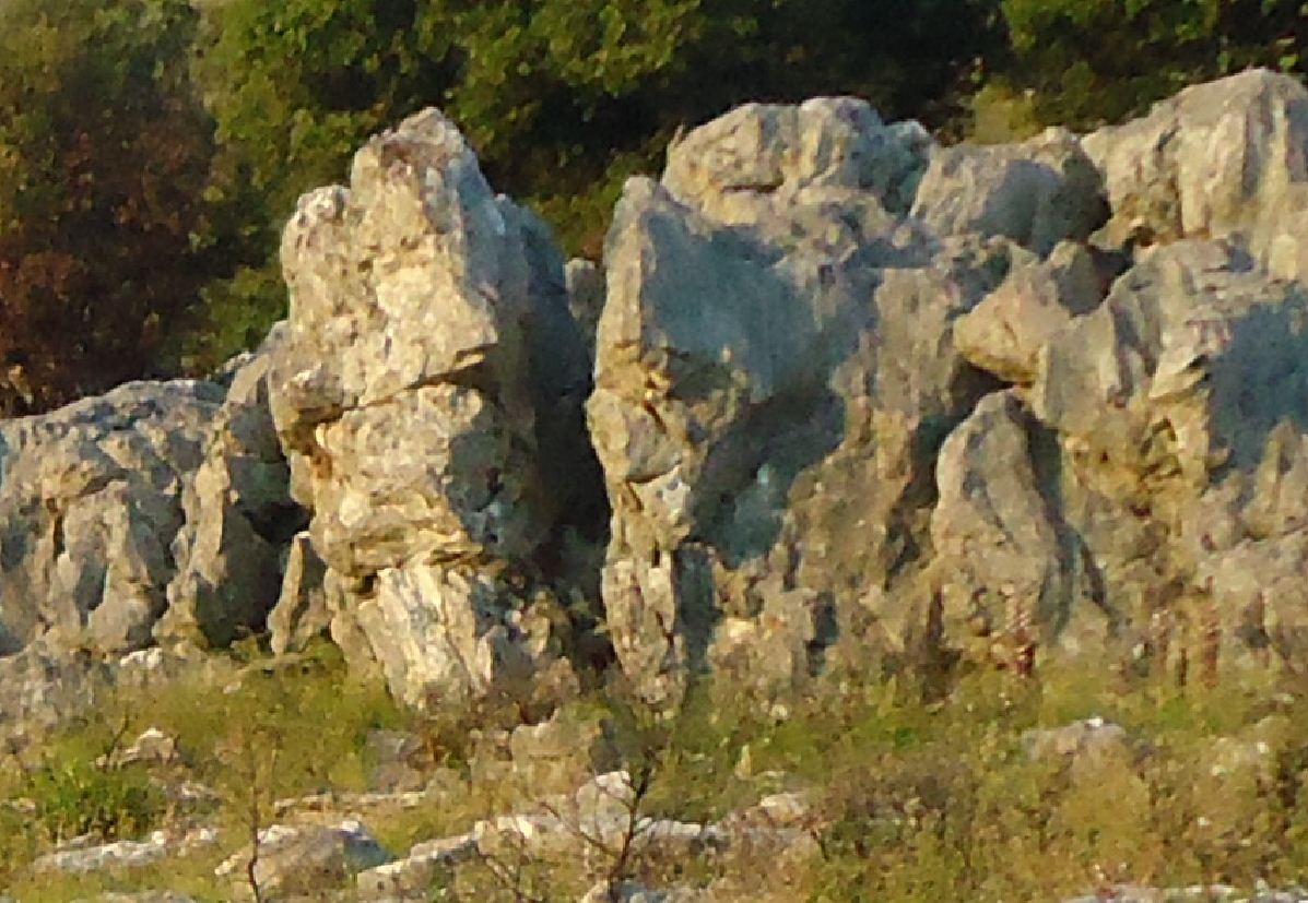 0_1533557614030_8y.JPG