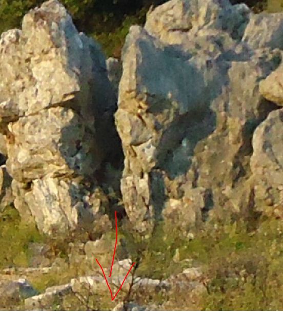 0_1535395985124_x5.JPG