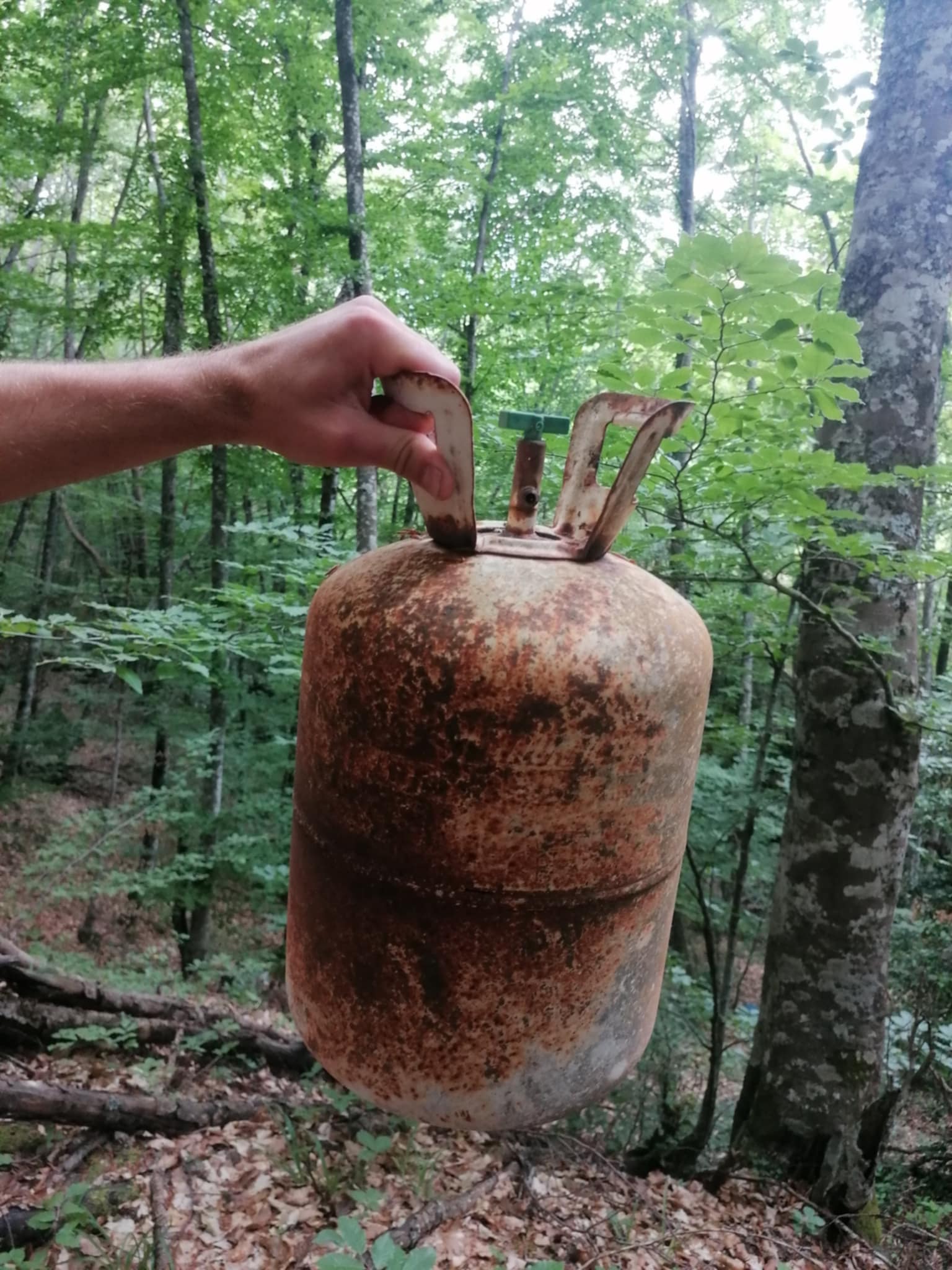 0_1751460447893_6c9ba4f3-f09a-4a4f-ac2e-55903e25cf58.jpg